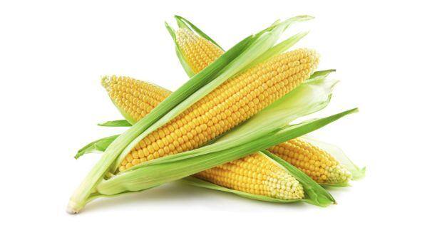 corn