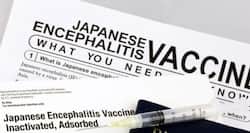 Japanese encephalitis claims 23 lives in Odisha