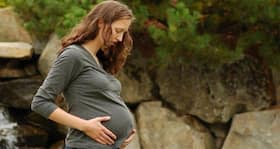 What to eat and avoid when you are pregnant