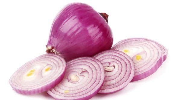 onion- article