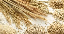 Maggi banned but what about adulterated oil, eggs, vegetables, pulses?