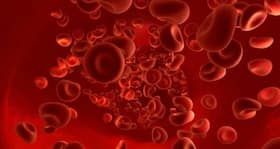New hope for thalassemia patients