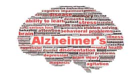 People with type 'O' blood are protected from Alzheimer's