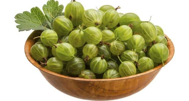 Control hair fall with amla or Indian gooseberry 