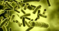 Can gold can kill viruses? Research says YES!