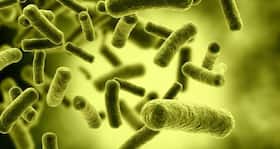 Can gold can kill viruses? Research says YES!