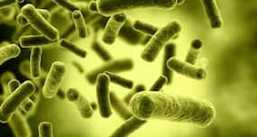 Can gold can kill viruses? Research says YES!