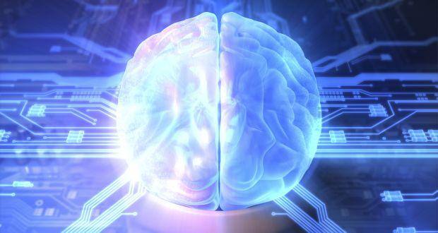 brain-news