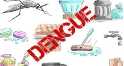 Should China worry about dengue fever?