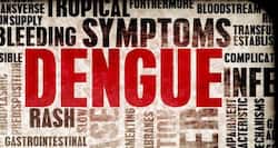 Odisha Dengue Update: 27 districts infected, 7 people dead