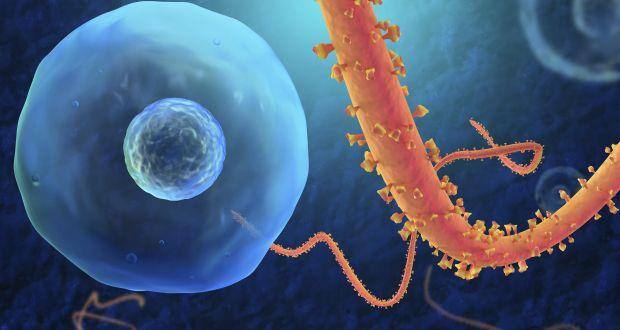 ebola news