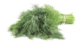 Have you heard about these health benefits of dill leaves?