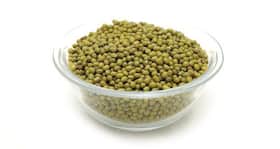 Green Gram Salad: A monsoon recipe for pregnant women!