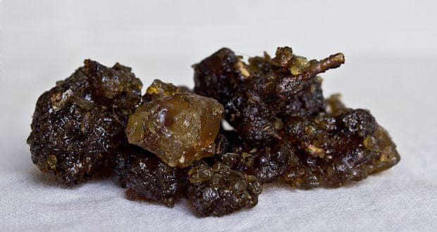 Health benefits of Guggul