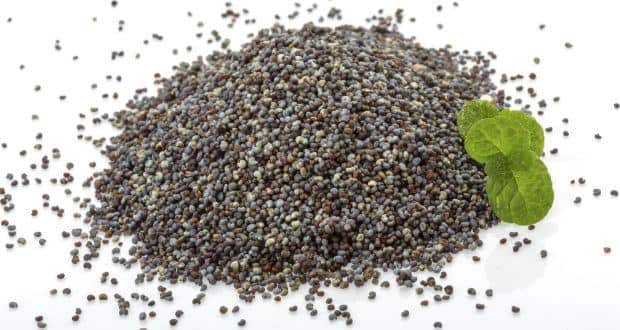 Health benefits of poppy seeds or khus khus