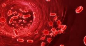 5 interesting facts you didn't know about hemophilia