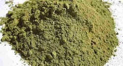 Henna -- stop hair loss in its tracks with this home remedy