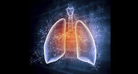 World COPD Day: Vitamin D may reduce respiratory infections in older adults