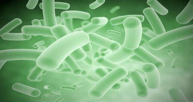 Now, a romantic comic book on micro-organisms | TheHealthSite.com