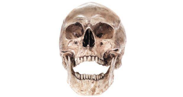 skeleton