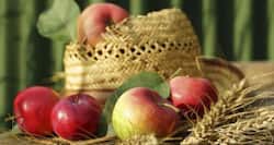 Healthy foods that can make you gassy