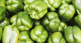 Eat raw capsicum as a salad to control your diabetes and obesity