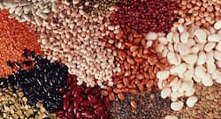 How foods with low glycemic index help maintain weight and control diabetes