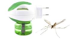 Dengue in Mumbai: Innovative ways to keep your home mosquito free