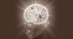 Study: Old drug, new usage!