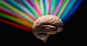 Human brain growth & function driven by special body fats