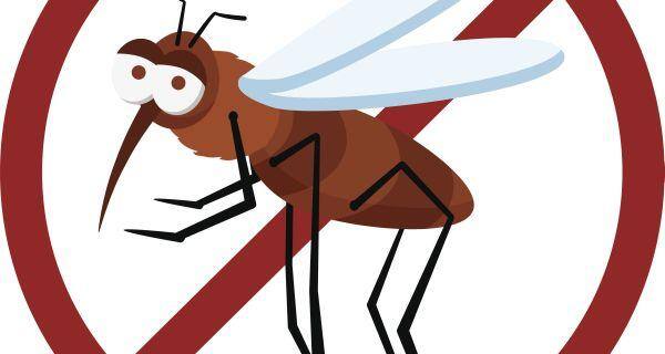 Dengue prevention -- 10 tips to stay safe from the disease |  