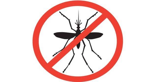 Dengue-fever