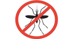 Symptoms of dengue you should be aware of