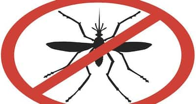 Dengue In Mumbai: 8 Tips To Prevent Dengue 