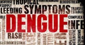 Dengue update -- new vaccine will be available by 2018
