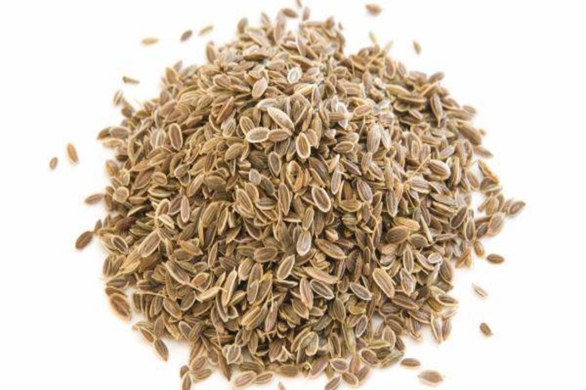 Top 5 Health Benefits Of Dill Or Sowa Seeds Thehealthsite Com