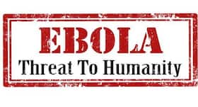 Ebola in Liberia: French nurse with Ebola cured with Japanese drug Avigan