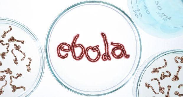 Ebola virus