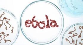 Latest Ebola News: UN calls for maintaining links with Ebola affected countries Latest Ebola News: UN calls for maintaining links with Ebola affected countries