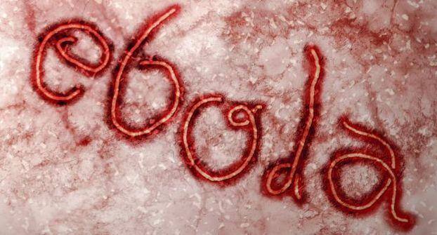 Ebola-virus