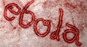 Latest Ebola News: Ebola crisis managers to ensure rapid global Ebola response Latest Ebola News: Ebola crisis managers to ensure rapid global Ebola response