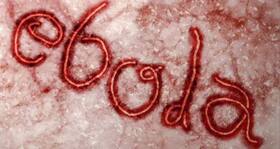Latest Ebola News: UN drafts guidelines to protect the human rights of quarantined Ebola patients Latest Ebola News: UN drafts guidelines to protect the human rights of quarantined Ebola patients