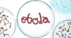 Latest Ebola News: China, France step up to combat Ebola