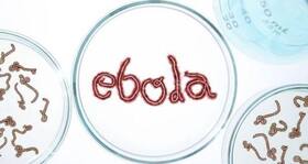 Ebola in West Africa: Mexico and Cuba to provide financial help and healthcare professionals to fight Ebola