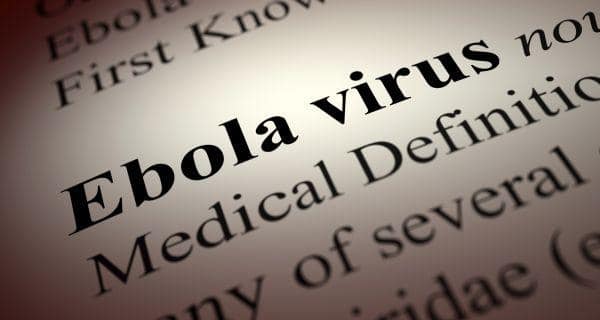ebola virus