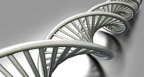 This is how your genes trigger a drop in IQ levels