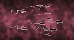 Infertility -- all you need to know