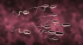 Infertility -- all you need to know