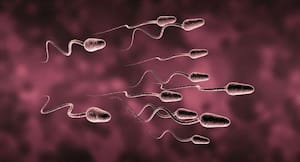 Infertility -- all you need to know