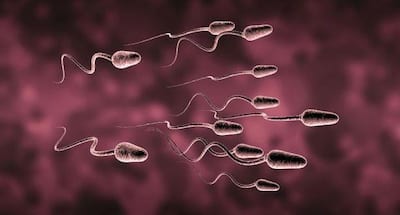 Infertility -- all you need to know